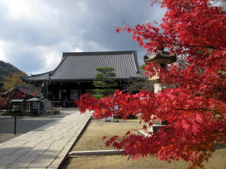 御影堂と紅葉 御影堂と紅葉