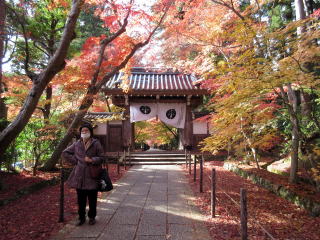 京都光明寺もみじ参道薬医門 京都光明寺もみじ参道