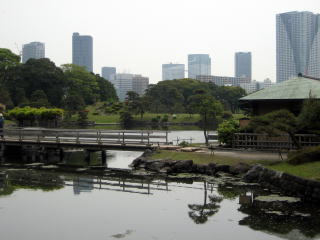 潮入り池