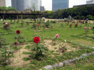 ぼたん園