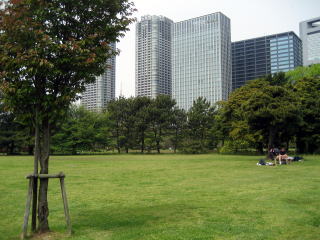 芝の広場