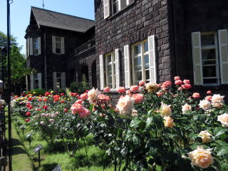 旧古河庭園洋館