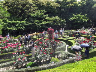 旧古河庭園の洋風庭園