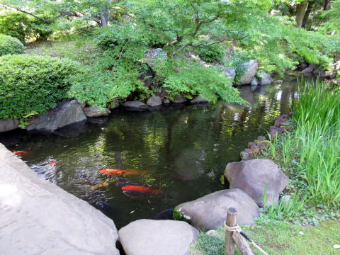 旧古河庭園の和風庭園