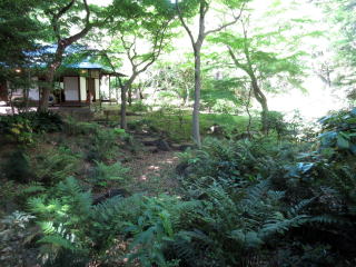 旧古河庭園の和風庭園