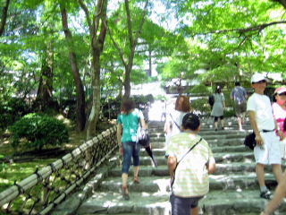 石庭へ続く石段