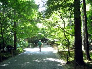 木漏れ日の小路