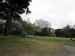 @̌iF