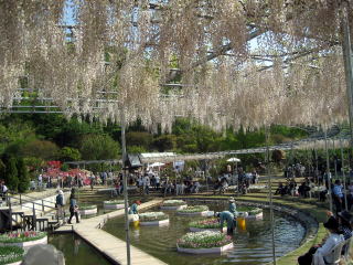パーク内風景