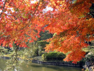 渡月橋対岸からの紅葉