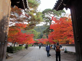 総門からの眺め 永観堂紅葉