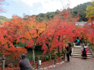 永観堂紅葉 永観堂紅葉