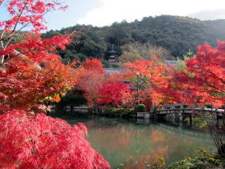 永観堂紅葉 放生池 永観堂紅葉