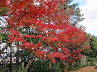 無鄰菴庭園 無鄰菴庭園