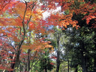 無鄰菴庭園 無鄰菴庭園