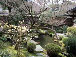 宝泉院鶴亀庭園 宝泉院鶴亀庭園
