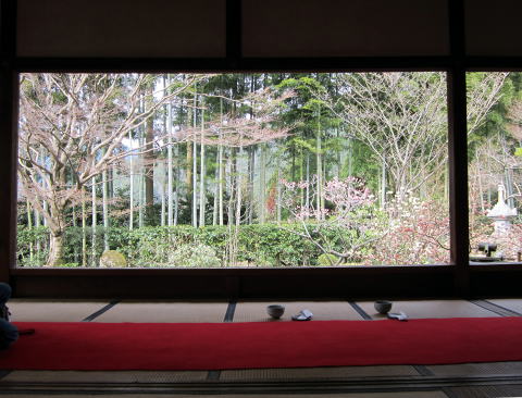 宝泉院額縁庭園 宝泉院額縁庭園