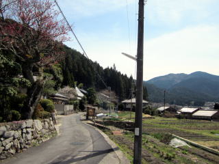 大原風景 大原風景