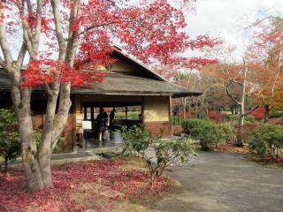 日本庭園