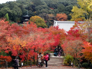 永観堂紅葉 永観堂紅葉
