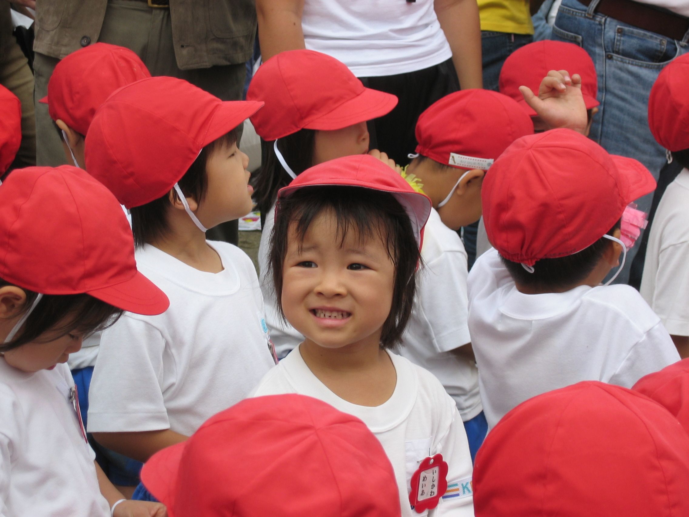 IMG_0015.JPG - 336,839Bytes