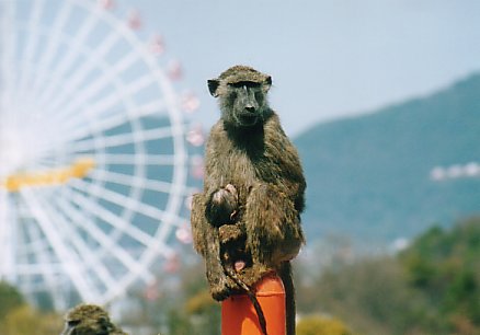 haruhihi.jpg - 21,380Bytes