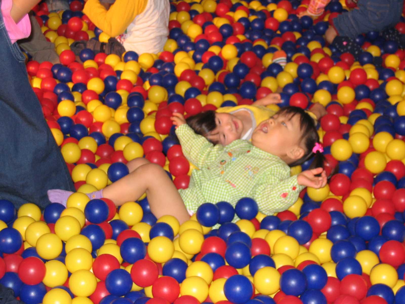 monkey43.JPG - 143,537Bytes