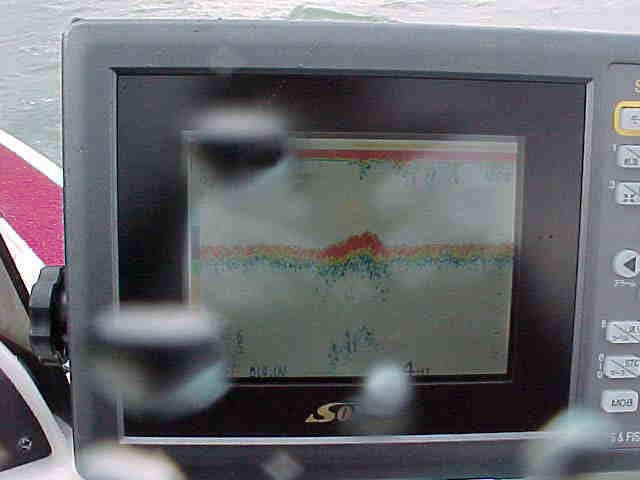 魚群探知機／魚礁ですその２
