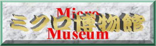 ミクロ博物館