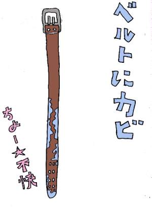 belt