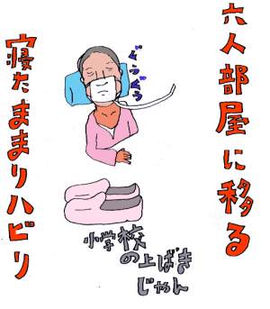 Zl