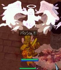 IMG_000069.jpg ( 14 KB )