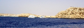 rasmoha.jpg