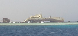 reef.jpg