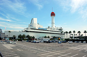 ����V���̉摜