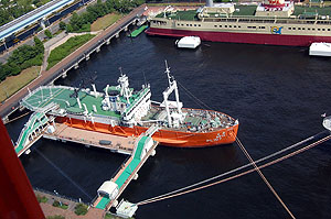 ����V���̉摜