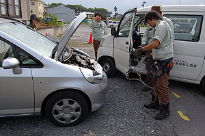 ����V���̉摜