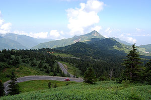 ����V���̉摜