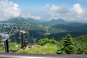 ����V���̉摜