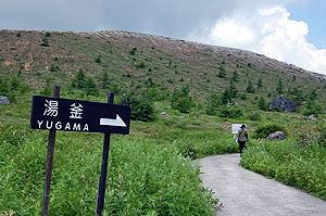 ����V���̉摜