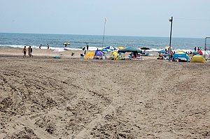 ����V���̉摜