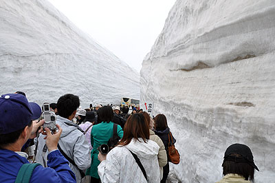 �y���E�P�����E�������R�E�㍂�n