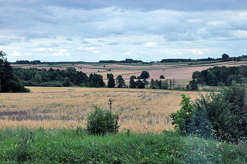 �o���g3��