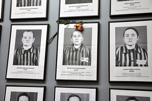 �o���g3��