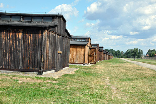 �o���g3��