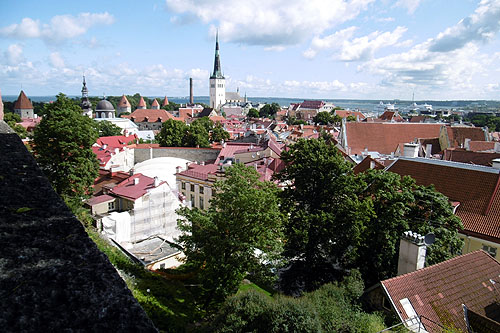 �o���g3��