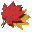 gtFobN