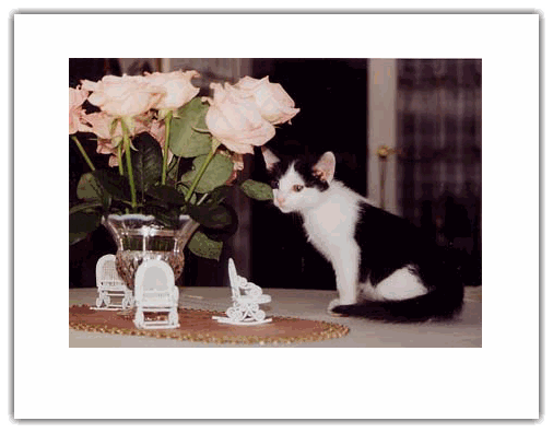 �o���������@