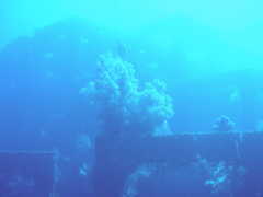 Dream01
