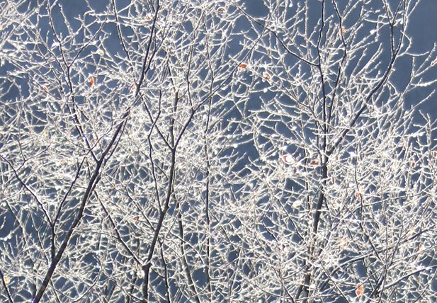 オリジナルなハンドメイドキッチンを得意とする島好常・島いずみ研究所の仕事。